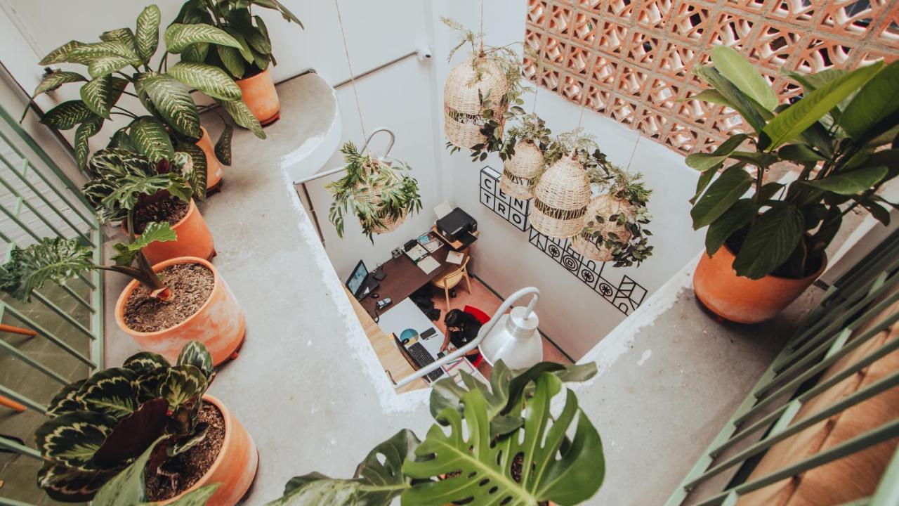 Centro Hostel Μεντεγίν Εξωτερικό φωτογραφία